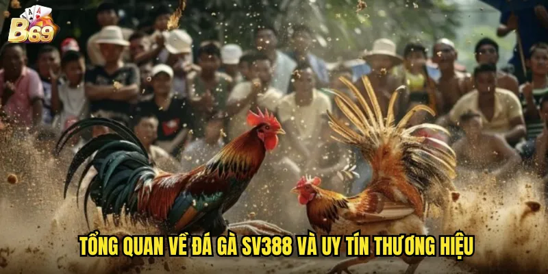 Đá Gà SV388 Tại B69 - Nền Tảng Cá Cược Hàng Đầu Châu Á 2 Tổng quan về đá gà SV388 và uy tín thương hiệu