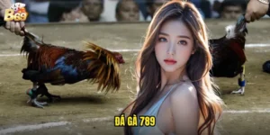 Đá Gà 789