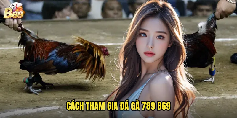 Đá Gà 789 Tại B69 - Trải Nghiệm Cá Cược Thể Thao Độc Đáo 3 Cách Tham Gia Đá Gà 789 B69