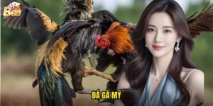 Đá Gà Mỹ