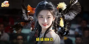 đá gà đòn C1