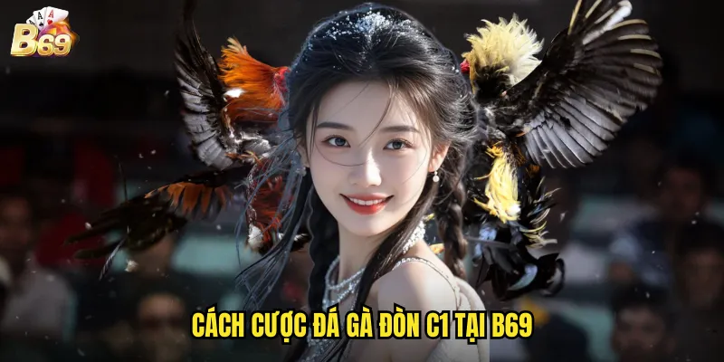 Đá Gà Đòn C1 B69 - Hình Thức Cá Cược Hôm Nay Phổ Biến 3 Cách Cược Đá Gà Đòn C1 Tại B69