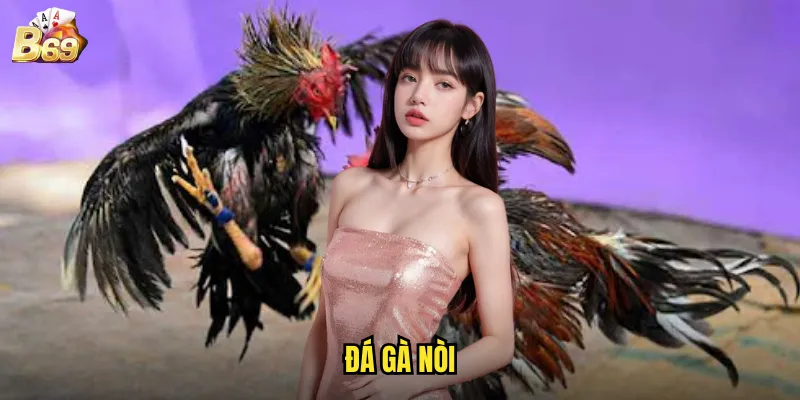 Đá Gà Nòi B69 - Truyền Thống Và Kỹ Năng Cá Cược 1 Đá Gà Nòi
