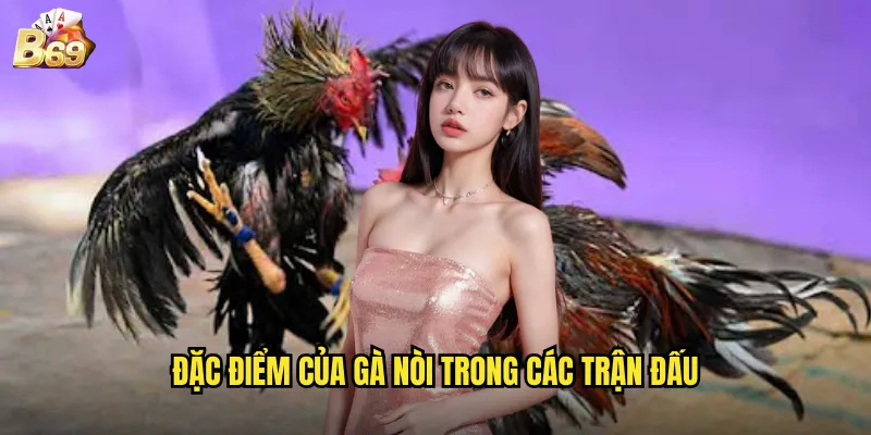 Đá Gà Nòi B69 - Truyền Thống Và Kỹ Năng Cá Cược 2 Đặc Điểm Của Gà Nòi Trong Các Trận Đấu