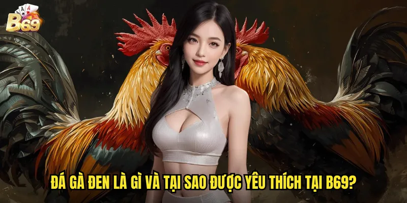 Đá Gà Đen B69 - Trải Nghiệm Sân Chơi Đỉnh Cao Với Tỷ Lệ Thưởng Hấp Dẫn 2 Đá gà đen là gì và tại sao được yêu thích tại B69?