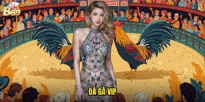 đá gà VIP