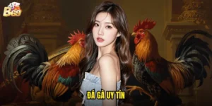 đá gà uy tín