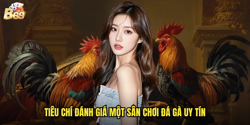 Tìm Hiểu B69 - Nhà Cái Đá Gà Uy Tín Hàng Đầu Việt Nam 2025 2 Tiêu chí đánh giá một sân chơi đá gà uy tín