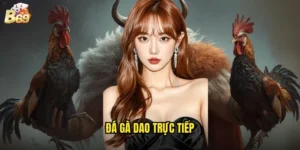 đá gà dao trực tiếp