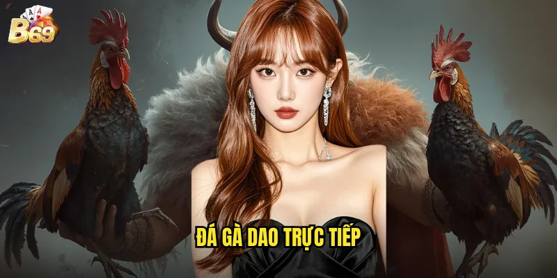 Đá Gà Dao Trực Tiếp B69 - Cảm Giác Mạnh Từ Những Trận Đấu Kịch Tính 1 đá gà dao trực tiếp