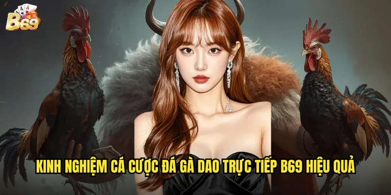 Đá Gà Dao Trực Tiếp B69 - Cảm Giác Mạnh Từ Những Trận Đấu Kịch Tính 3 Kinh nghiệm cá cược đá gà dao trực tiếp B69 hiệu quả