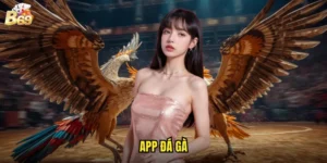 app đá gà