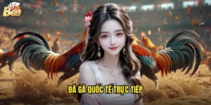 đá gà quốc tế trực tiếp