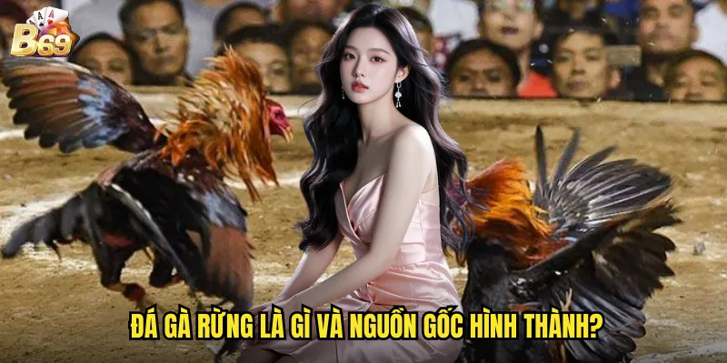 Khám Phá Đá Gà Rừng B69 - Nét Văn Hóa Truyền Thống Trong Thời Đại Số 2 Đá gà rừng là gì và nguồn gốc hình thành?