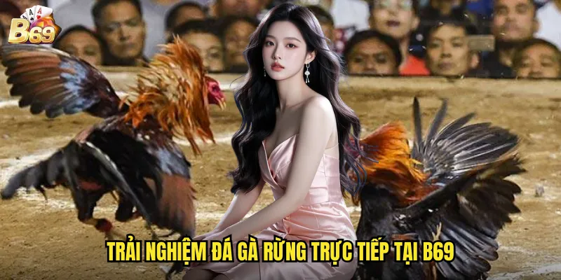 Khám Phá Đá Gà Rừng B69 - Nét Văn Hóa Truyền Thống Trong Thời Đại Số 3 Trải nghiệm đá gà rừng trực tiếp tại B69