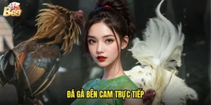 đá gà bên Cam trực tiếp