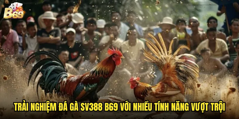 Đá Gà SV388 Tại B69 - Nền Tảng Cá Cược Hàng Đầu Châu Á 3 Trải nghiệm đá gà SV388 B69 với nhiều tính năng vượt trội