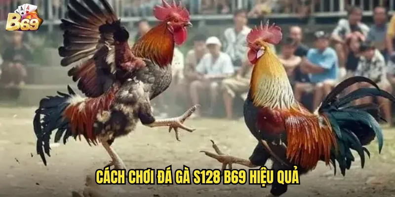 B69 Đá Gà S128 - Trải Nghiệm Đẳng Cấp Với Công Nghệ Tiên Tiến 3 Cách chơi đá gà S128 B69 hiệu quả