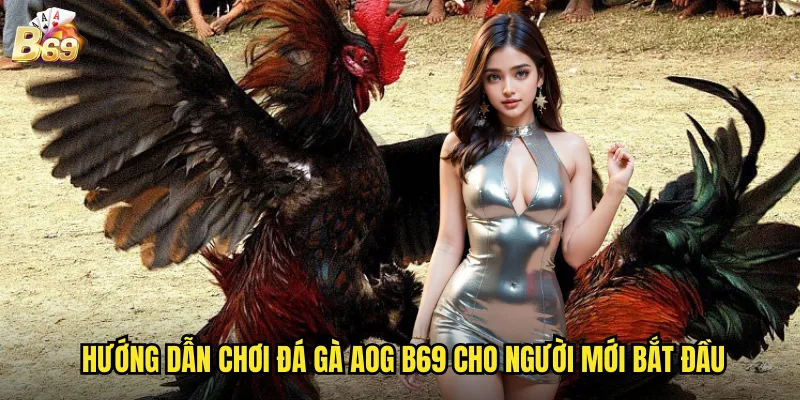 Trải Nghiệm Đá Gà AOG Tại B69 - Nền Tảng Cá Cược Chuyên Nghiệp 3 Hướng dẫn chơi đá gà AOG B69 cho người mới bắt đầu